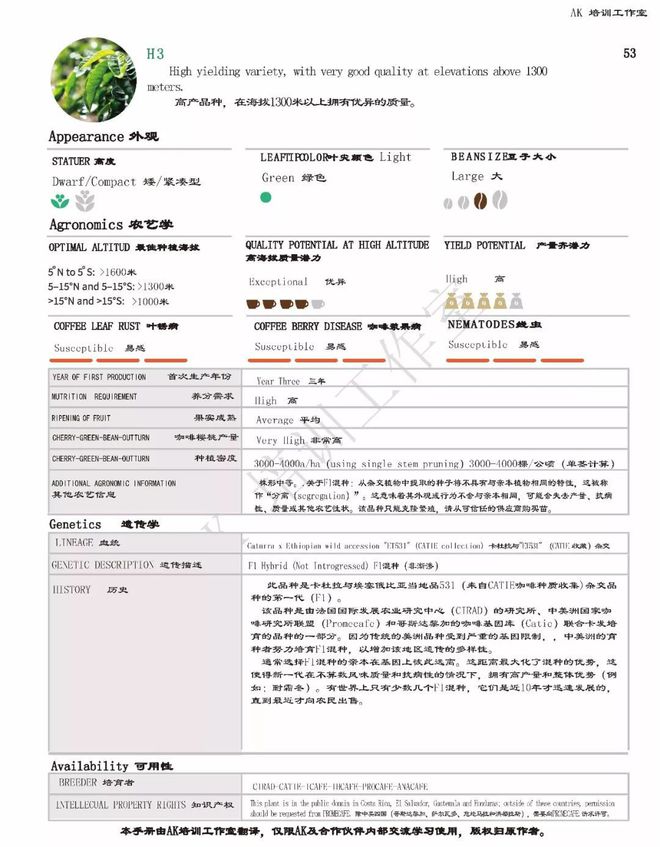 熊猫体育咖啡品种之H 3和尼 玛 亚Nemaya介绍(图2)