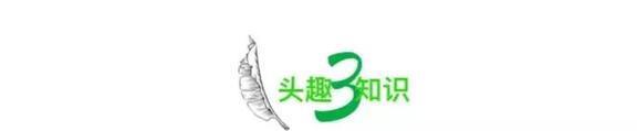 熊猫体育·(中国)官方网站“妈妈偷吃孩子生日蛋糕”被全网骂揭开了多少不合格父母的(图6)
