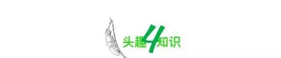 熊猫体育·(中国)官方网站“妈妈偷吃孩子生日蛋糕”被全网骂揭开了多少不合格父母的(图9)