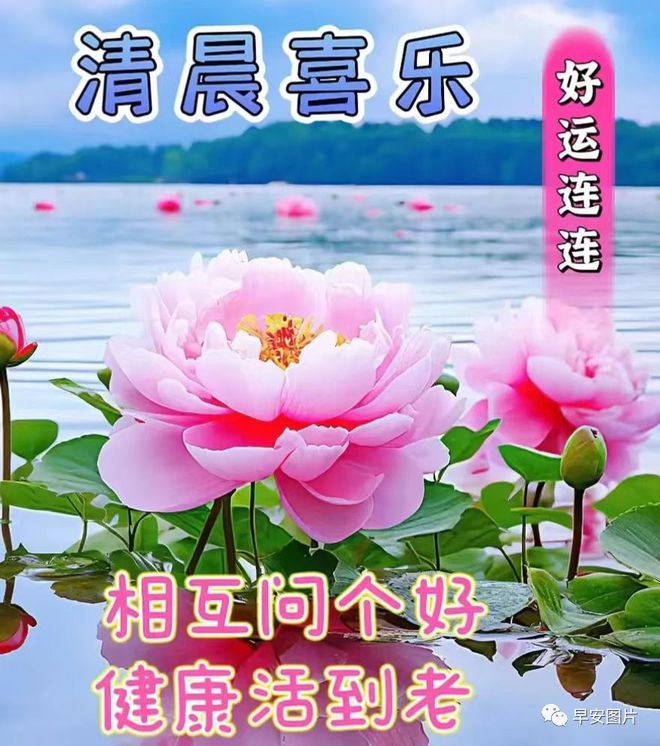 熊猫体育８月１９日早安漂亮图片问候祝福语早安图片唯美暖心的问候表情图片(图3)