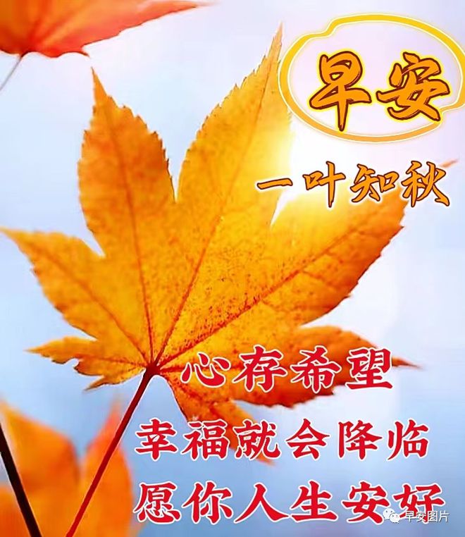 熊猫体育８月１９日早安漂亮图片问候祝福语早安图片唯美暖心的问候表情图片(图1)