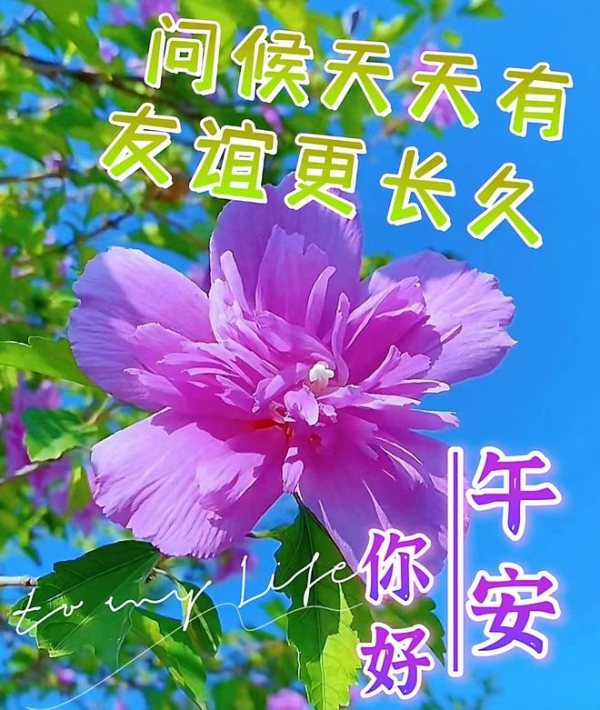 熊猫体育８月１９日早安漂亮图片问候祝福语早安图片唯美暖心的问候表情图片(图7)