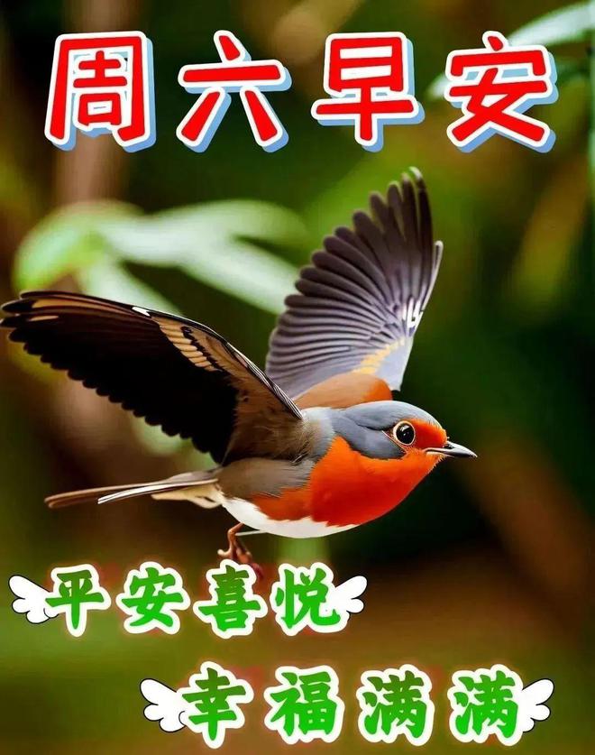 熊猫体育８月１９日早安漂亮图片问候祝福语早安图片唯美暖心的问候表情图片(图8)