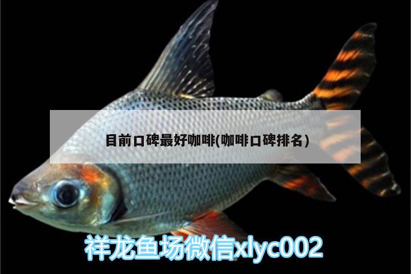 熊猫体育目前口碑最好咖啡(咖啡口碑排名)(图2)