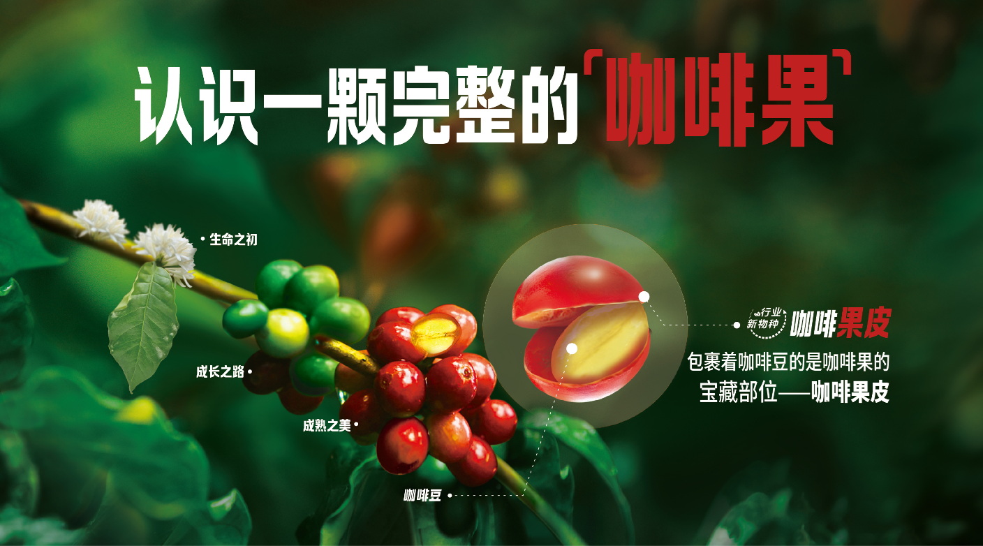 熊猫体育·(中国)官方网站果然轻咖重磅上市咖啡行业新物种开启咖啡全新赛道(图2)