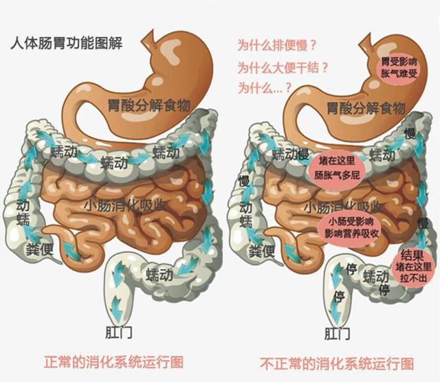 熊猫体育早上空腹喝水的危害比不吃早饭还大？医生道出答案不妨看看(图3)