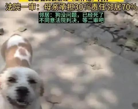 熊猫体育男童被邻居家狗抓伤确诊狂犬病离世更多细节披露引网友众怒(图2)