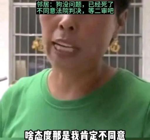 熊猫体育男童被邻居家狗抓伤确诊狂犬病离世更多细节披露引网友众怒(图1)