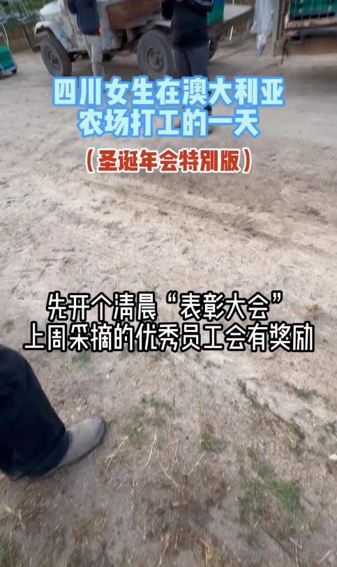 熊猫体育四川女孩在澳洲打工早上4点摘草莓每天工作3小时时薪131元(图4)