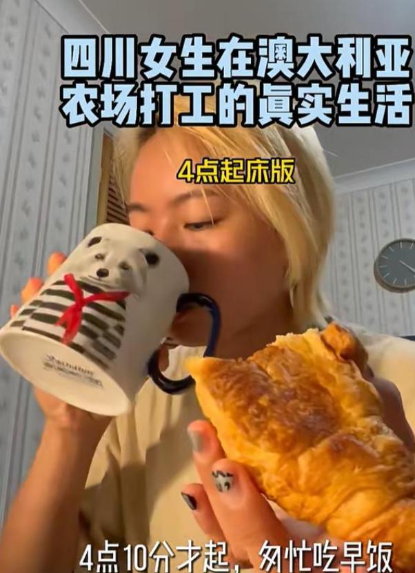 熊猫体育四川女孩在澳洲打工早上4点摘草莓每天工作3小时时薪131元(图8)