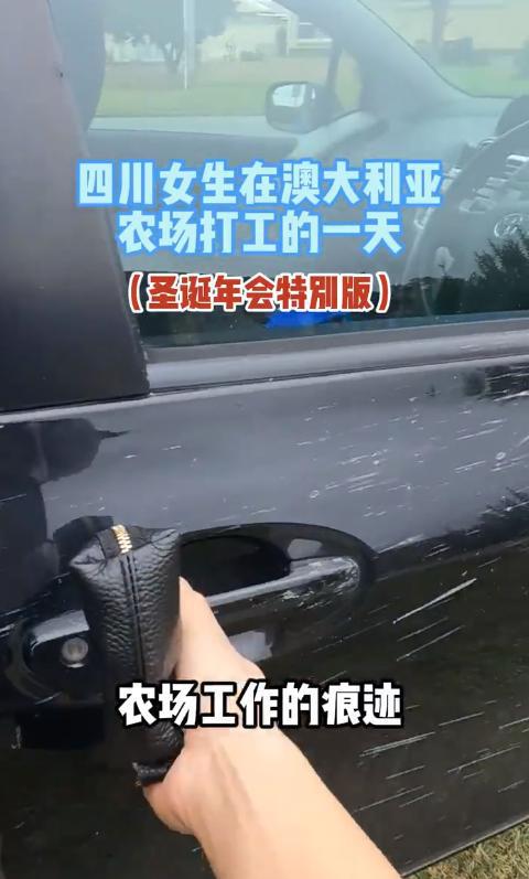 熊猫体育四川女孩在澳洲打工早上4点摘草莓每天工作3小时时薪131元(图13)