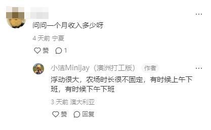 熊猫体育四川女孩在澳洲打工早上4点摘草莓每天工作3小时时薪131元(图12)