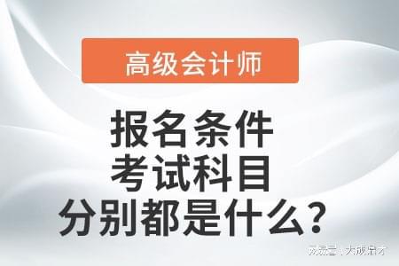 熊猫体育高级会计职称培训心得：分享备考经验与技巧(图2)